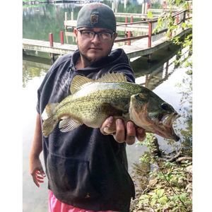 Meet your Posher, Cameron